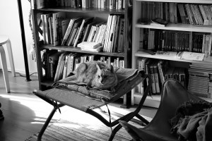 酒断ち14日目、『死の家の記録』、20240209