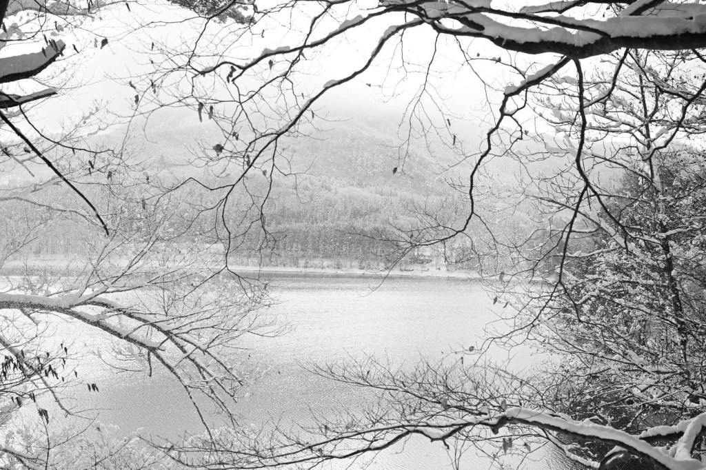 諏訪湖から山に入る、北アルプスを偵察する、『罪と罰』、20240211