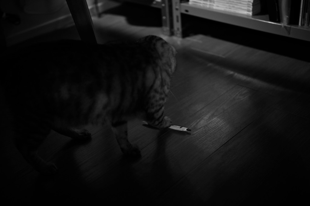 朝経理、マッチョと五反田の女とアイスティ、20240214