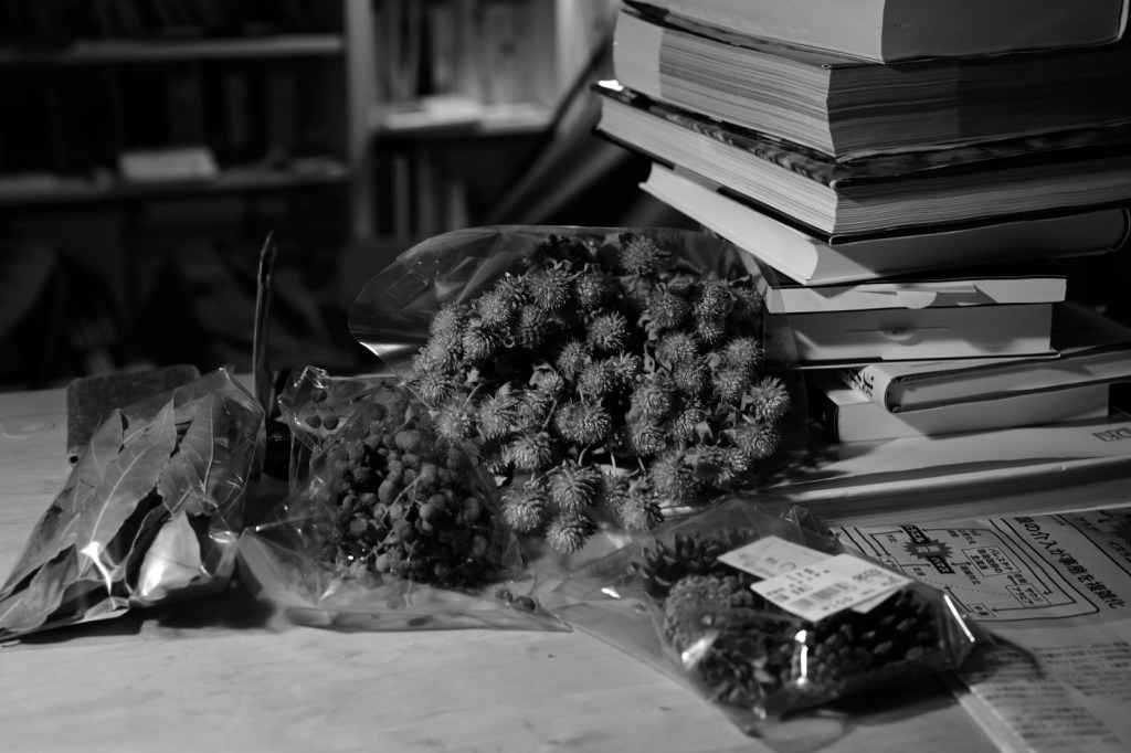 近所の紅梅とメジロ、『翼よ、北へ』から『パリ・ロンドン放浪記』へ、20240215