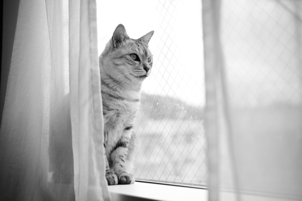 H君とのお茶会、20240216