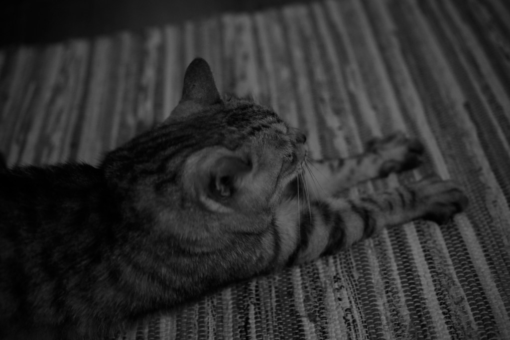 調布飛行場の周りを30キロ、20240218