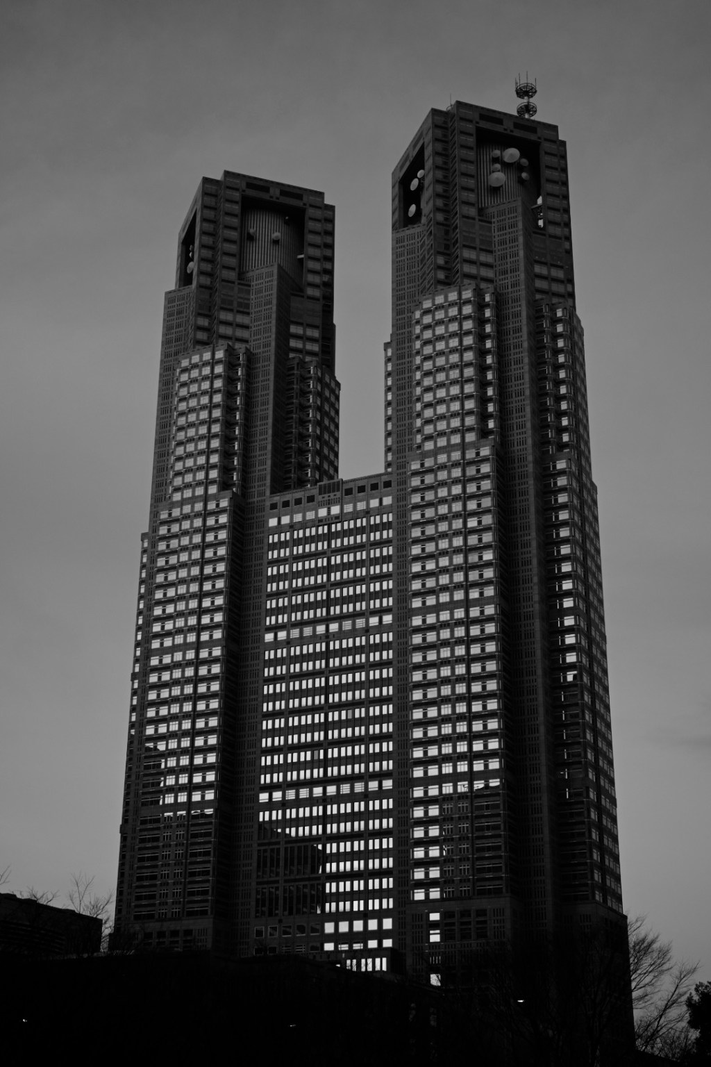 ハード・ボイルドな新宿の朝、20240220