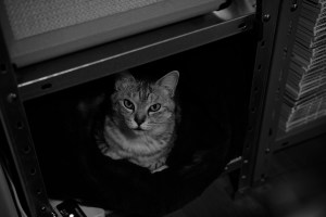 マコさんと、くそじじいと、SGさんと、ZKさんと、ヤスさん、20240222