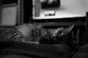 なぜ書くか、20240223