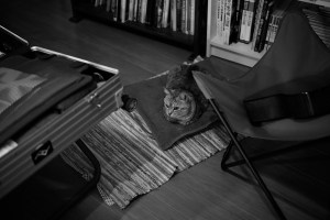 旅の支度、AirPods見つかる、20240224