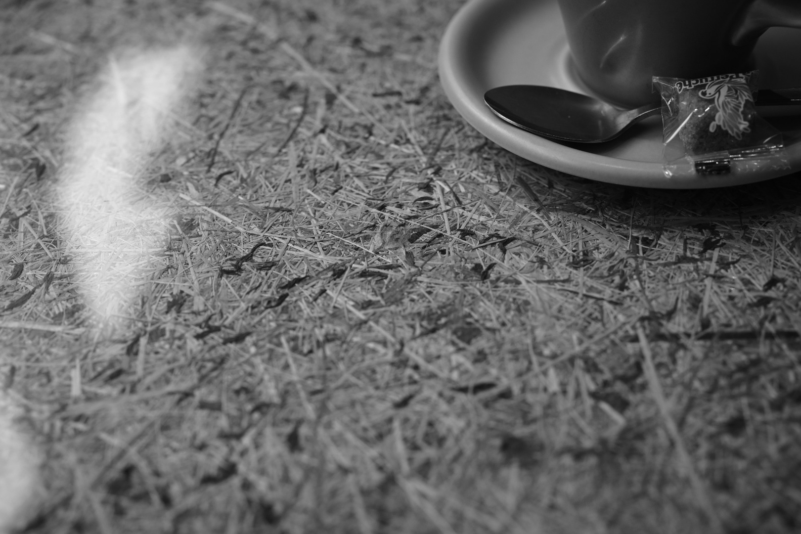 富山4日目、イタイイタイ病資料館、飛騨高山でカフェ2軒、そして東京へ戻る、20240228