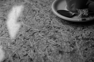 富山4日目、イタイイタイ病資料館、飛騨高山でカフェ2軒、そして東京へ戻る、20240228