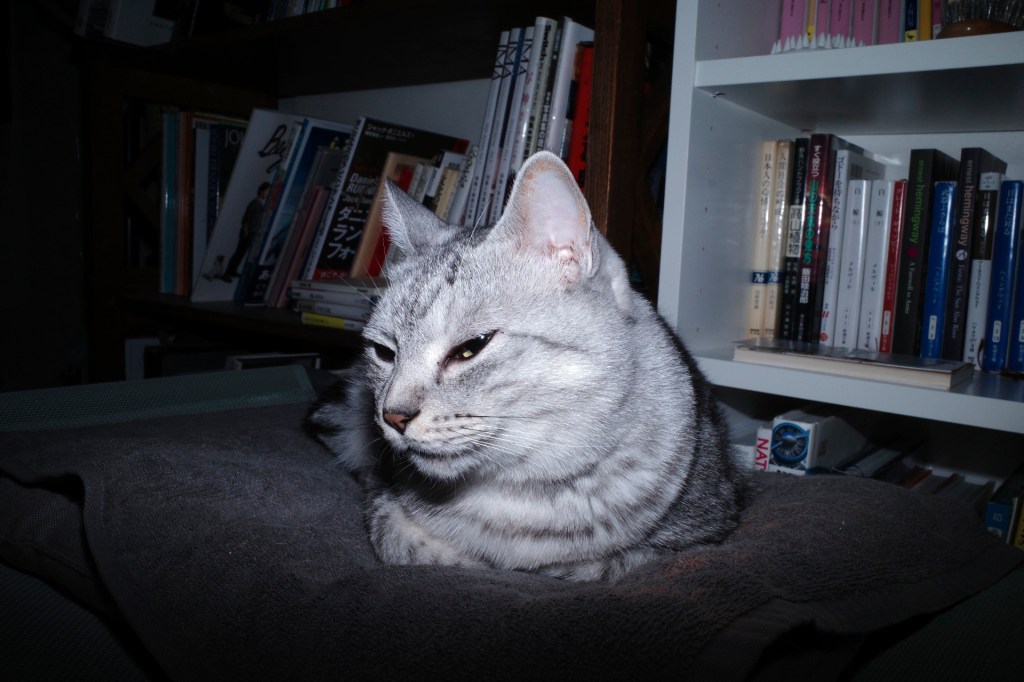 Yさんの家を訪ねる、20240322