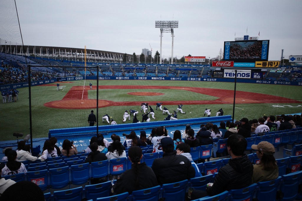 神宮球場はファイターズ戦、レッドロブスターとゴリラで回復す、20240319