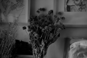 桃の日に渋滞を回避しアップルパイを買う、20240303