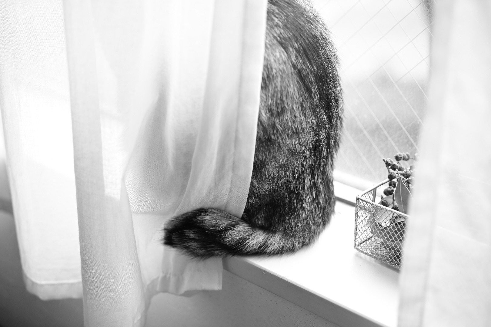 青木さんのスリーベースヒット、20240305