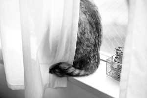 青木さんのスリーベースヒット、20240305