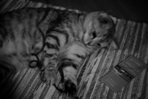 マラソンの実利、『親密な手紙』、20240307