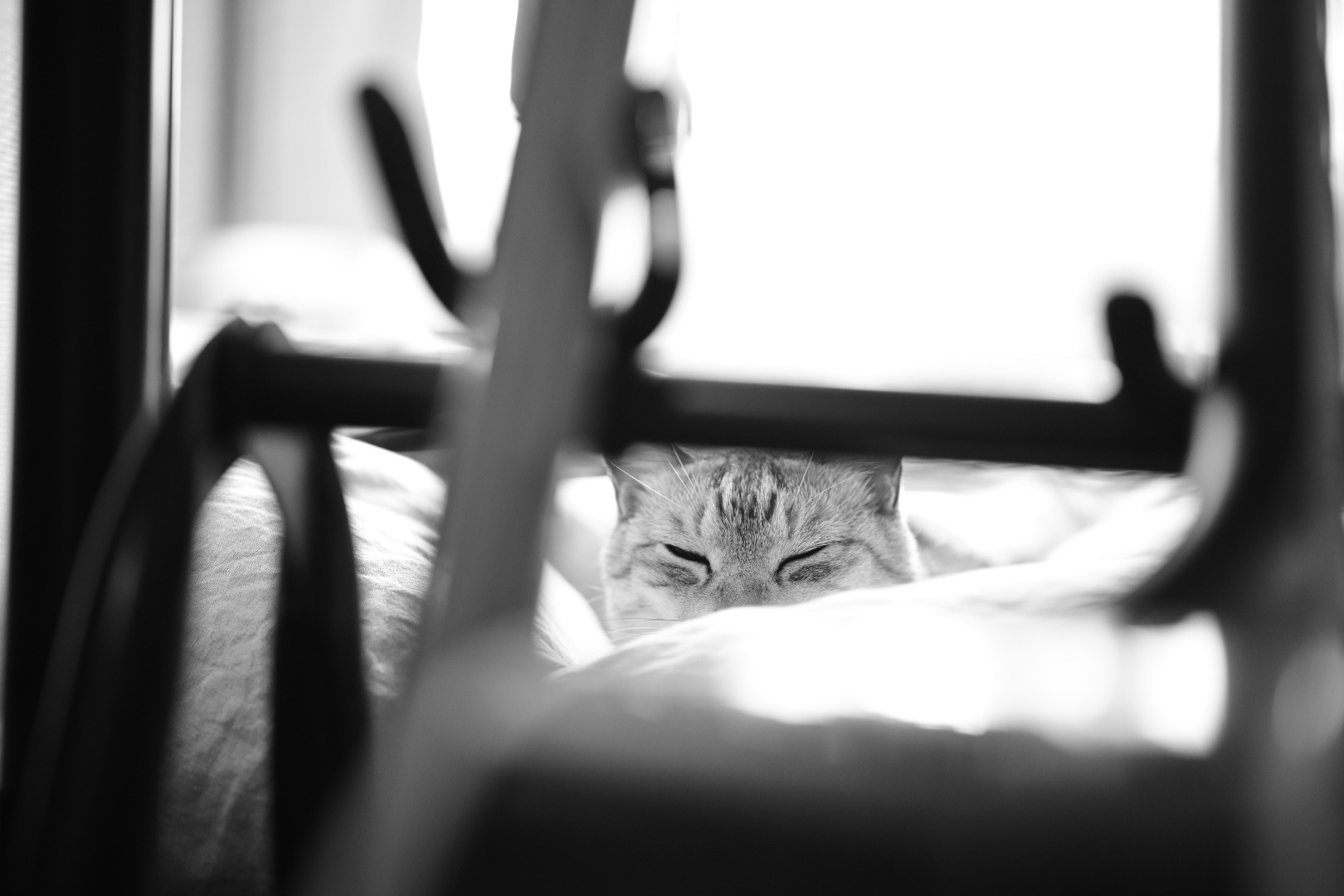 夜のドライブは「フーガの技法」を聴きながら、20240308