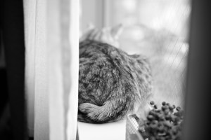 菅直人『民主党政権 未完の日本改革』、20240315