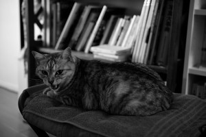 角田裕毅のメガ・ジョブ、サインツの復活、チキンカレー、20240323