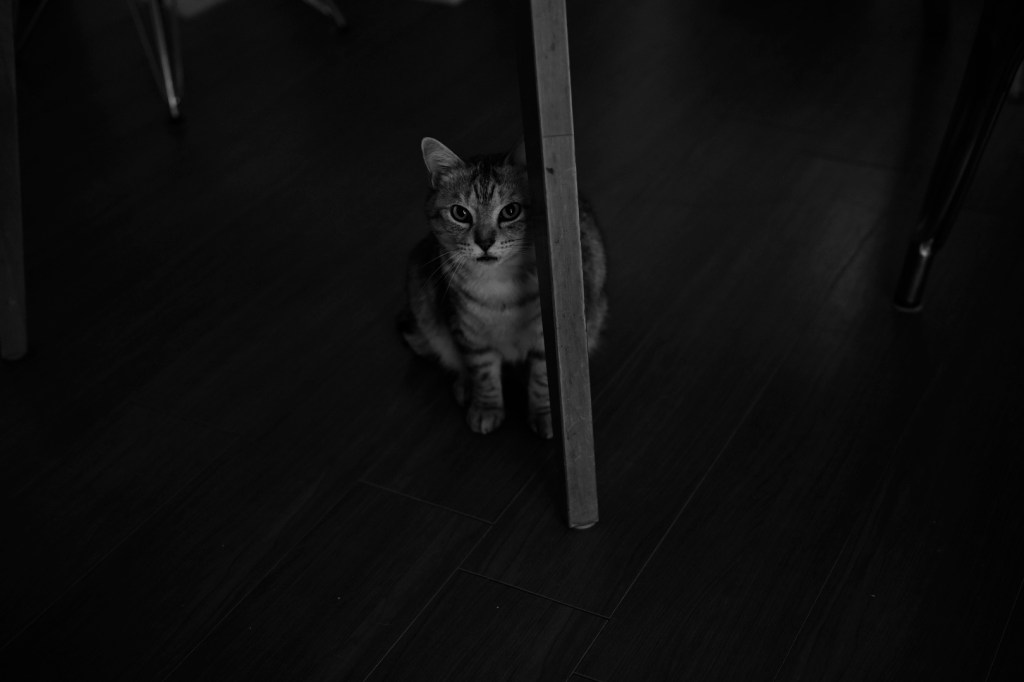 サインツ優勝、角田の7位、サマータイヤに戻す、20240324