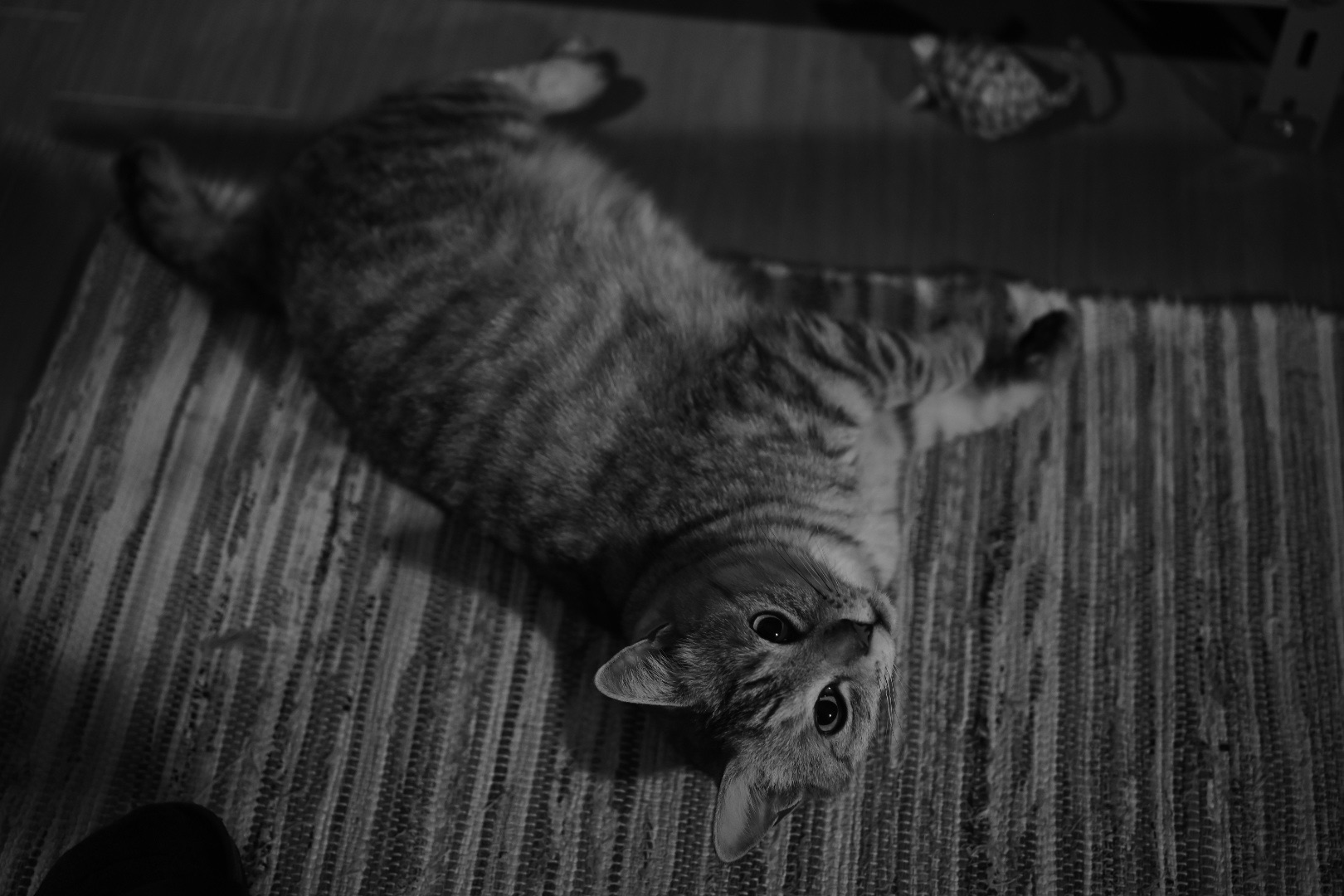 眠りの習慣、5年前のノートとカレンダー、20240325