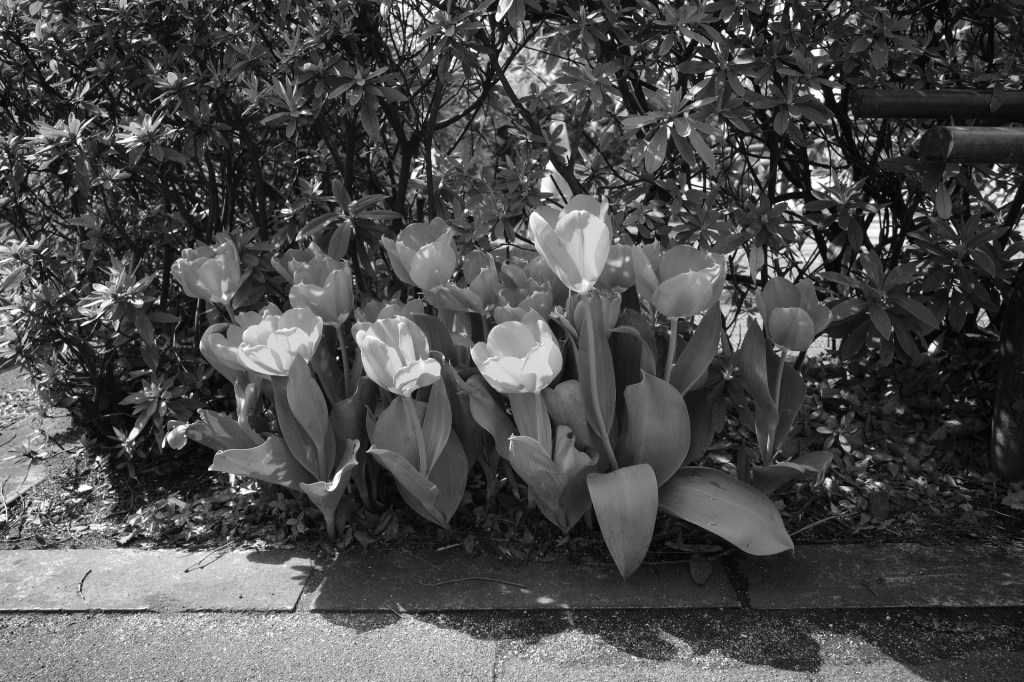 新年度を「朝活」で始める、20240401