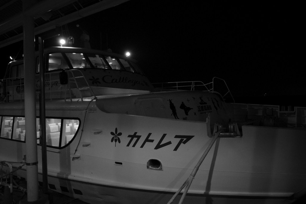 仕事に戻る、1週間ぶりのスワローズ、20240409