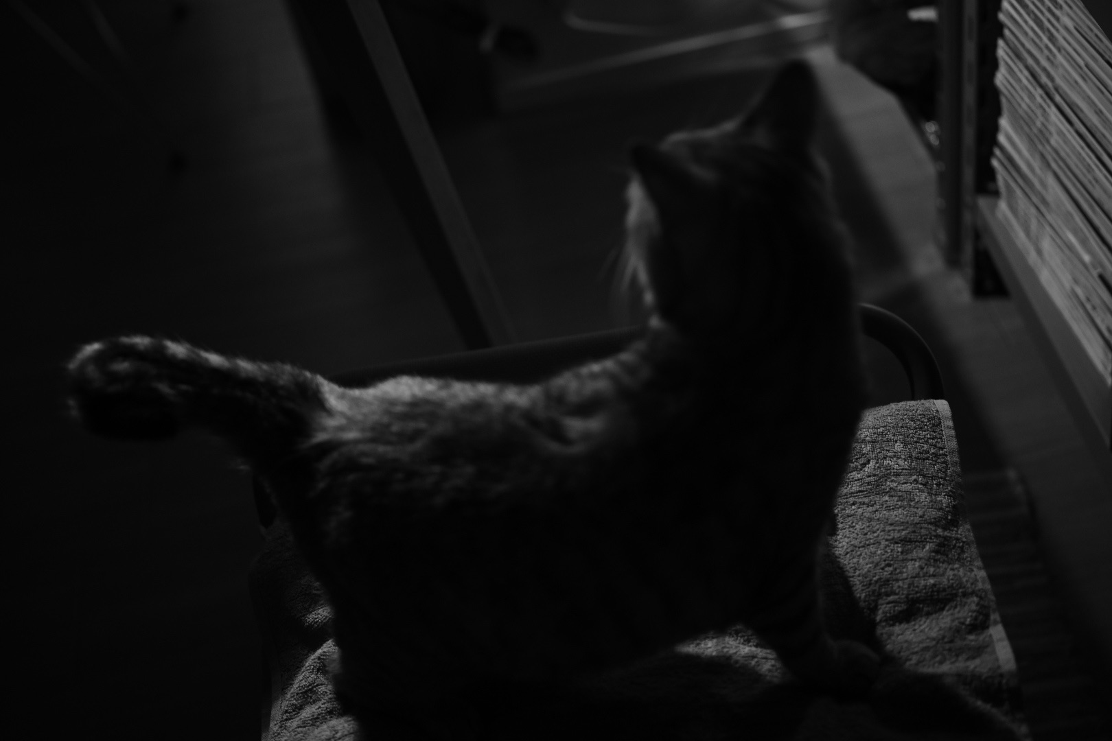 2024年F1鈴鹿旅行の前日、The Day Before My 2024 F1 Suzuka Trip, 20240403