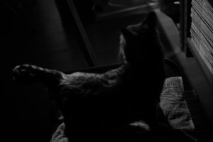 2024年F1鈴鹿旅行の前日、The Day Before My 2024 F1 Suzuka Trip, 20240403