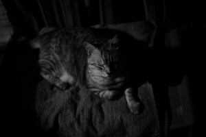 ランの再開、20240410