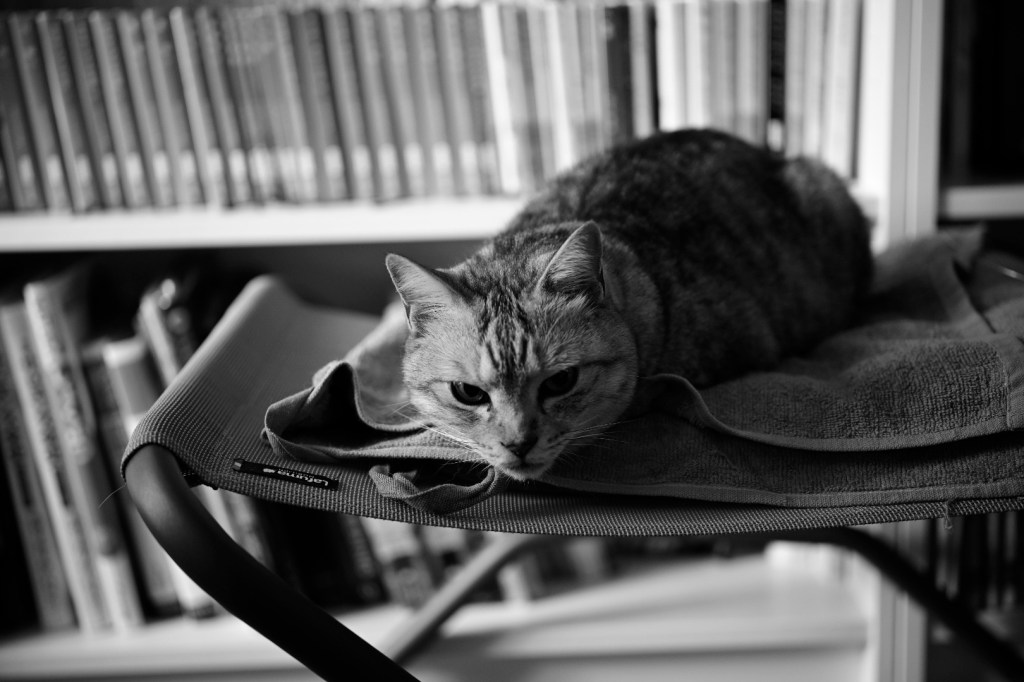 吉祥寺で午後を過ごす、「百年」と「よみた屋」、20240412