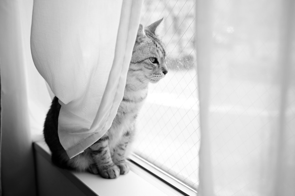 ひき肉は足が早い、2番の村上、20240413