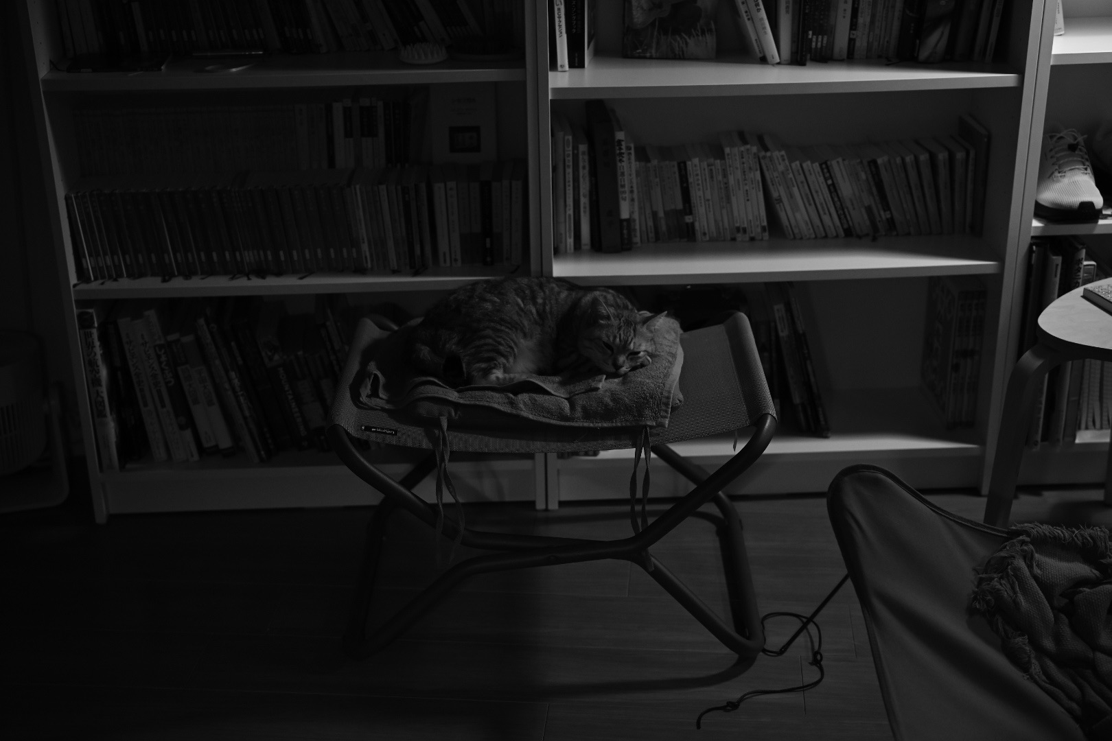 刺激が足りないのはいけない、20240416