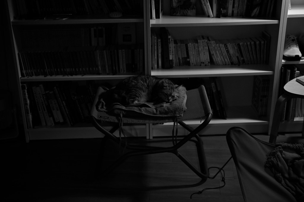 刺激が足りないのはいけない、20240416