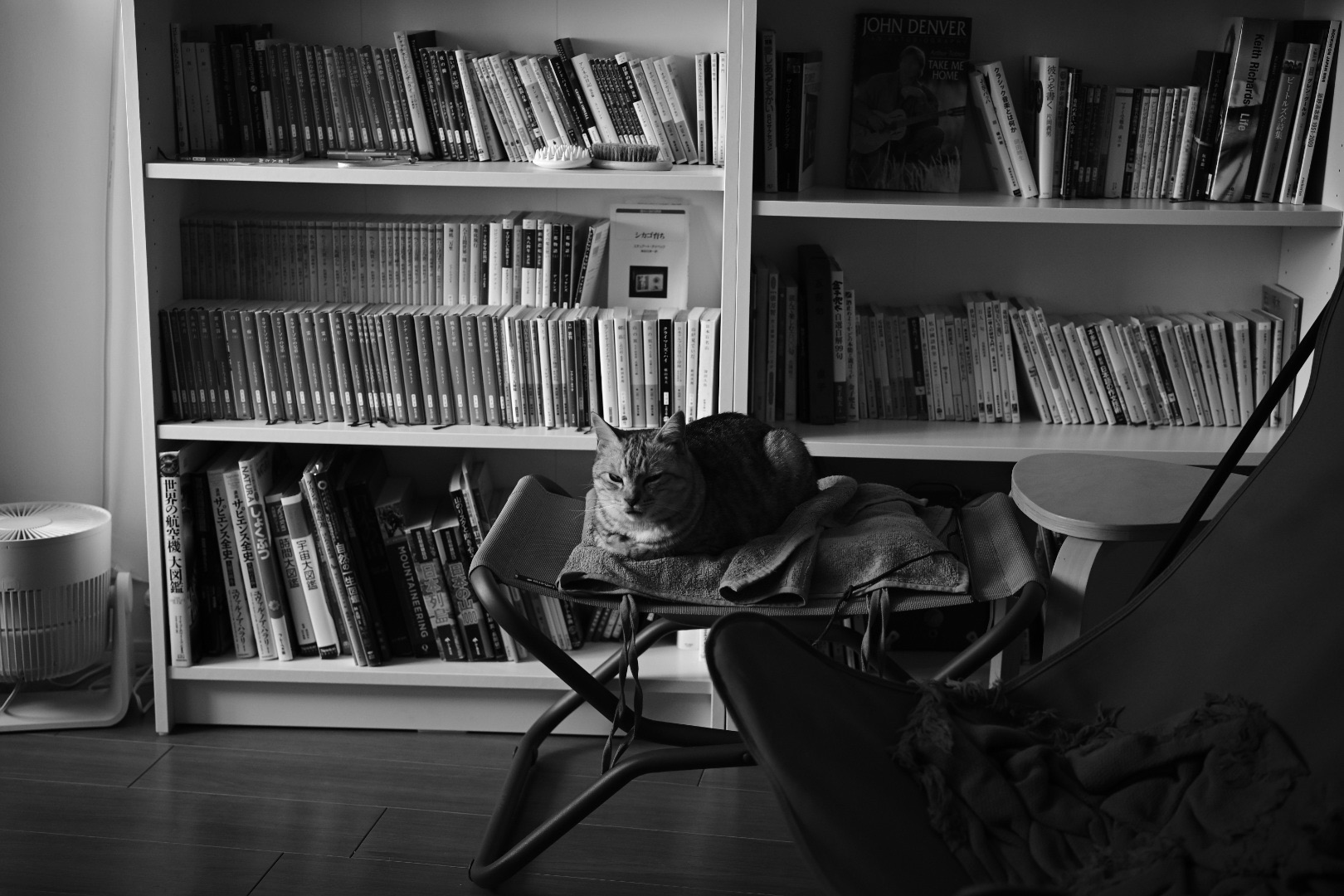 科学技術館、池澤訳古事記、池澤夏樹の世界文学リミックス、牛腸茂雄全集　作品編、晩春の井の頭公園、20240419