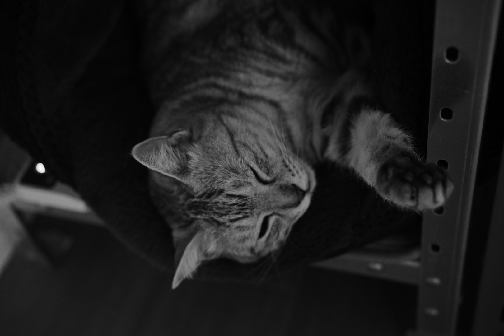 ノーガード、20240425