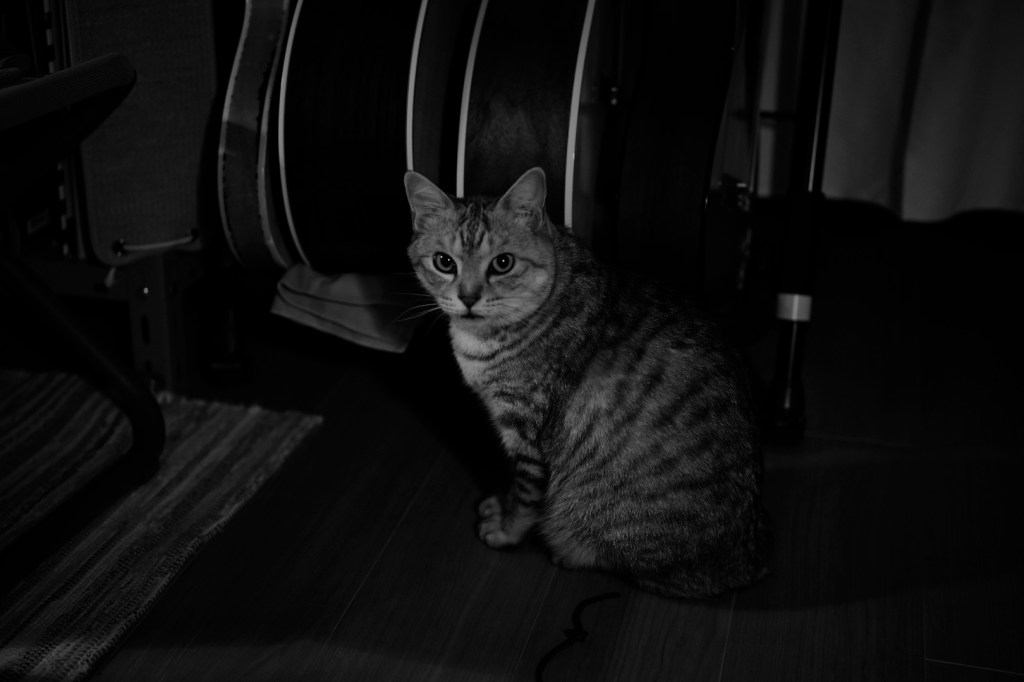 地下鉄に乗って早稲田へ、地方メディアの活気、20240427