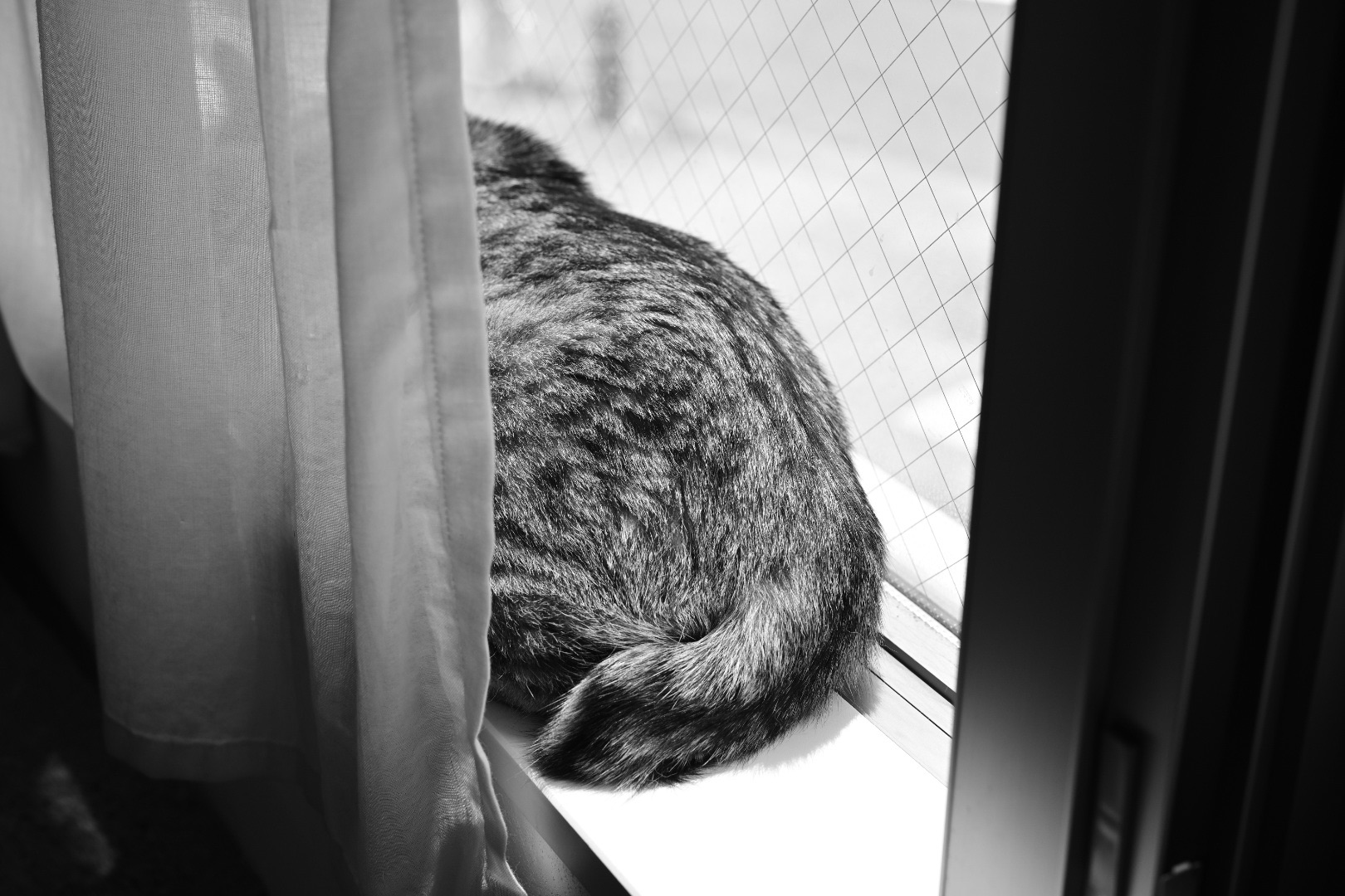 ホームページパワーアップのお知らせ、20240428