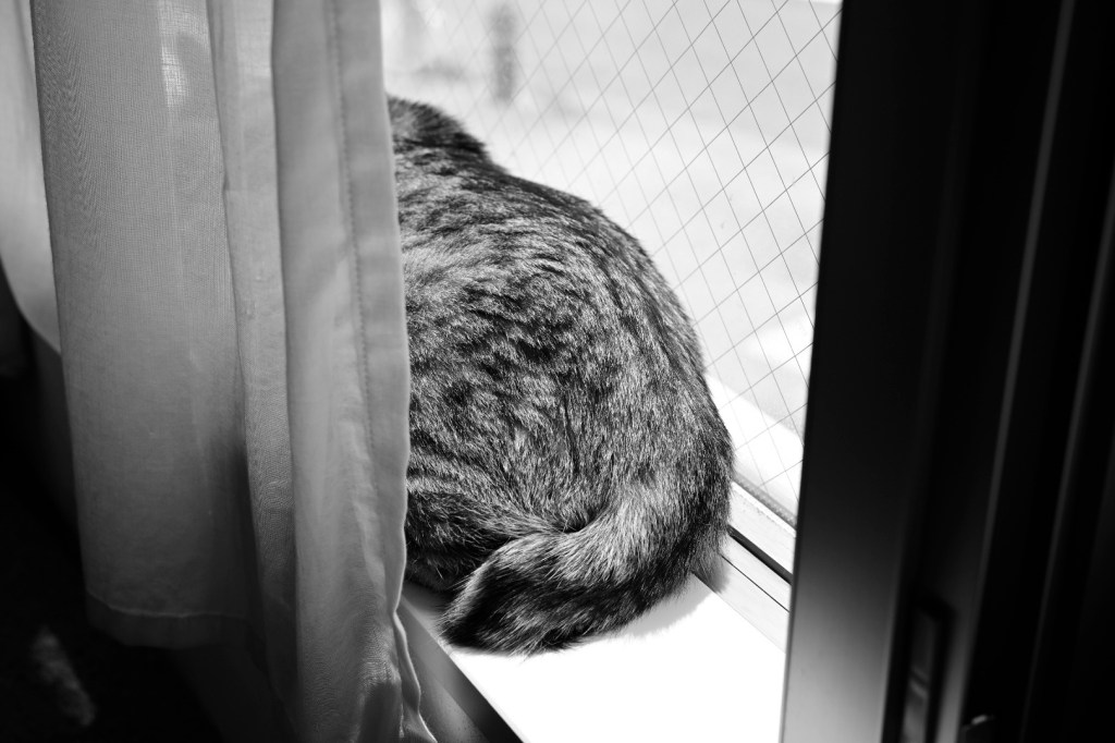 ホームページパワーアップのお知らせ、20240428