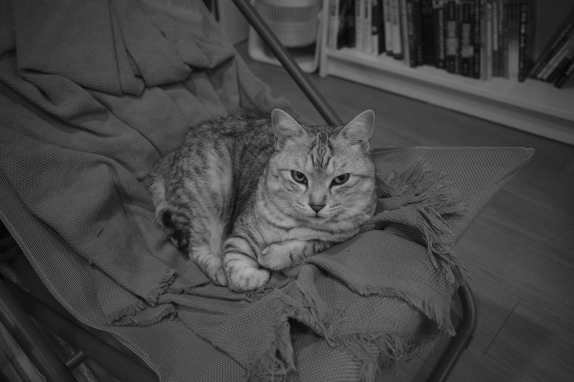 フタコですね、土日返上のあとの崖、武岡龍世から目が離せない、20240521