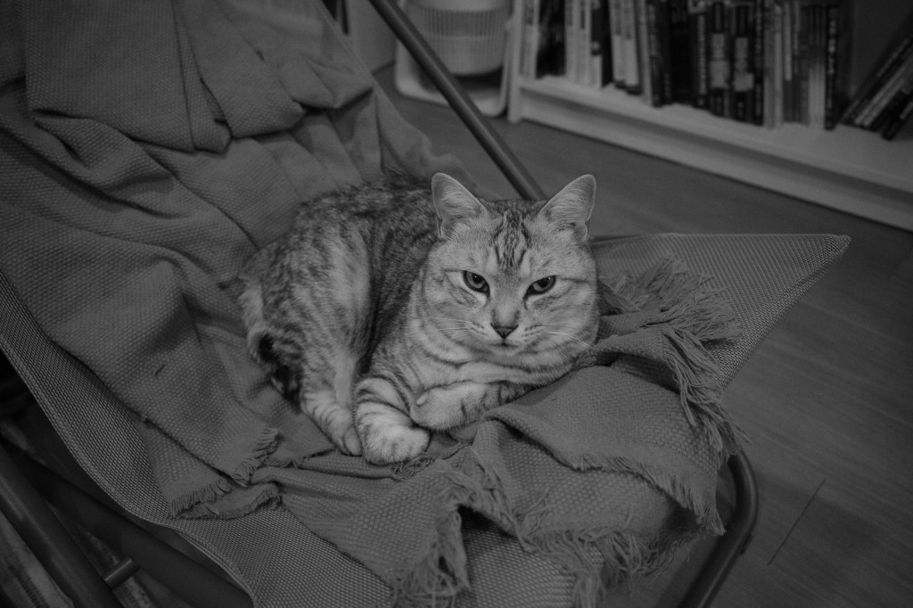 フタコですね、土日返上のあとの崖、武岡龍世から目が離せない、20240521