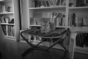 モナコGP予選、20240525