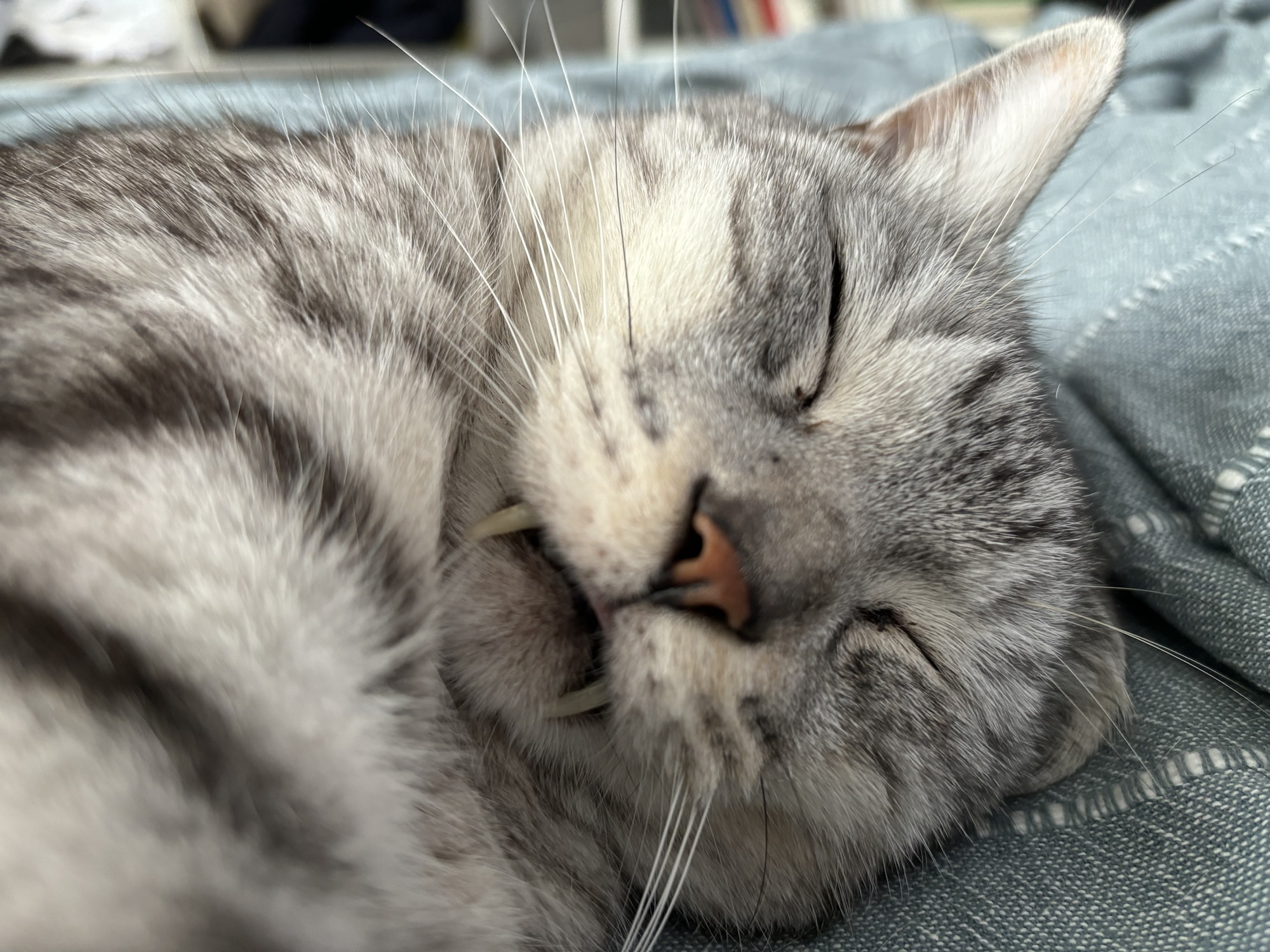 酒断ち4ヶ月のレポート、吉村の乱調子と哲人の1500安打、20240528