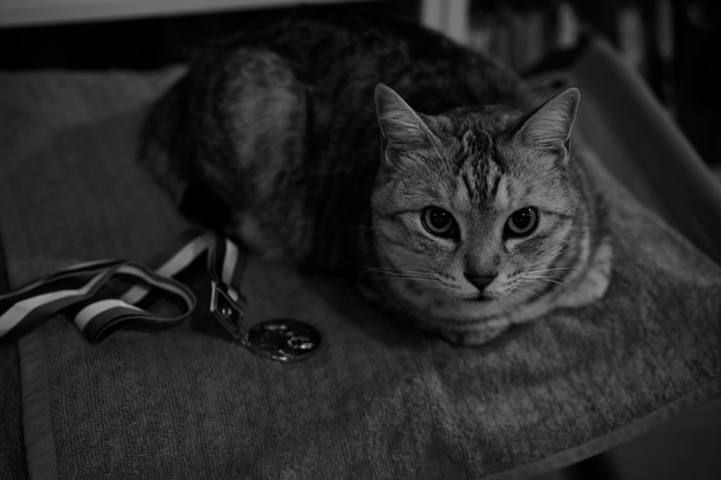 柏の葉爽快マラソン、20240503