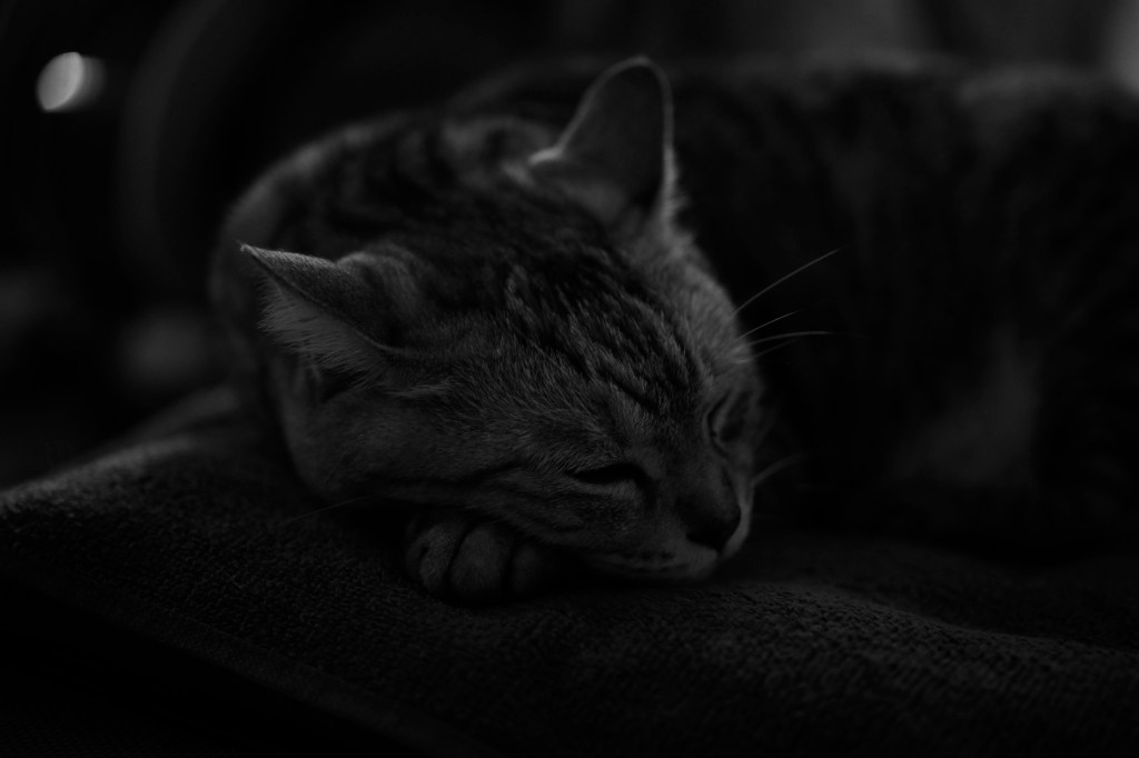 連休明けの雰囲気、20240507