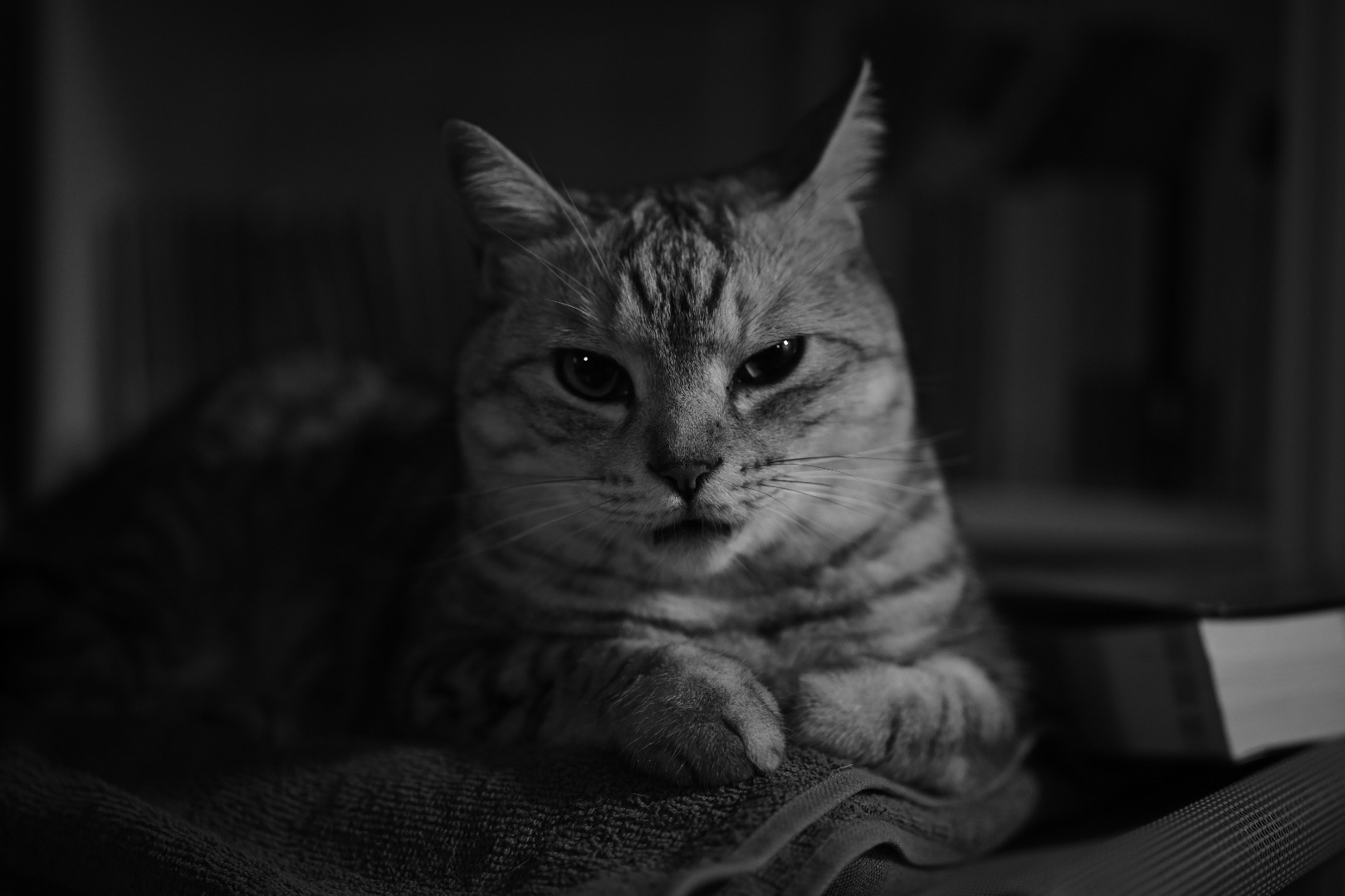 昭和記念公園を走る、20240508