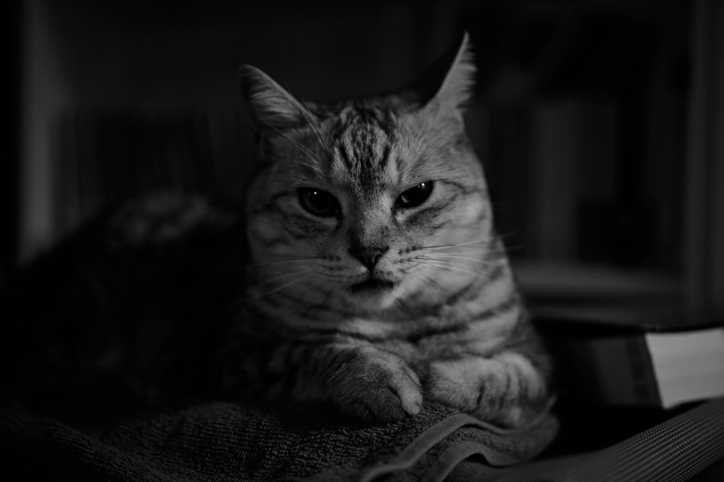 昭和記念公園を走る、20240508