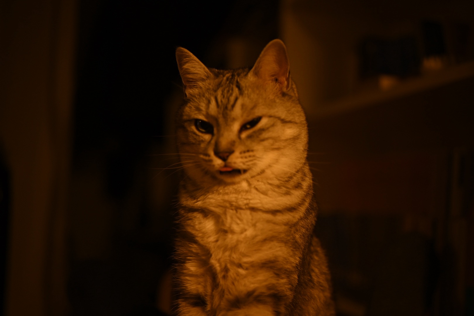 クラシックカフェというラジオ番組、20240513