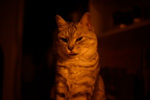 クラシックカフェというラジオ番組、20240513