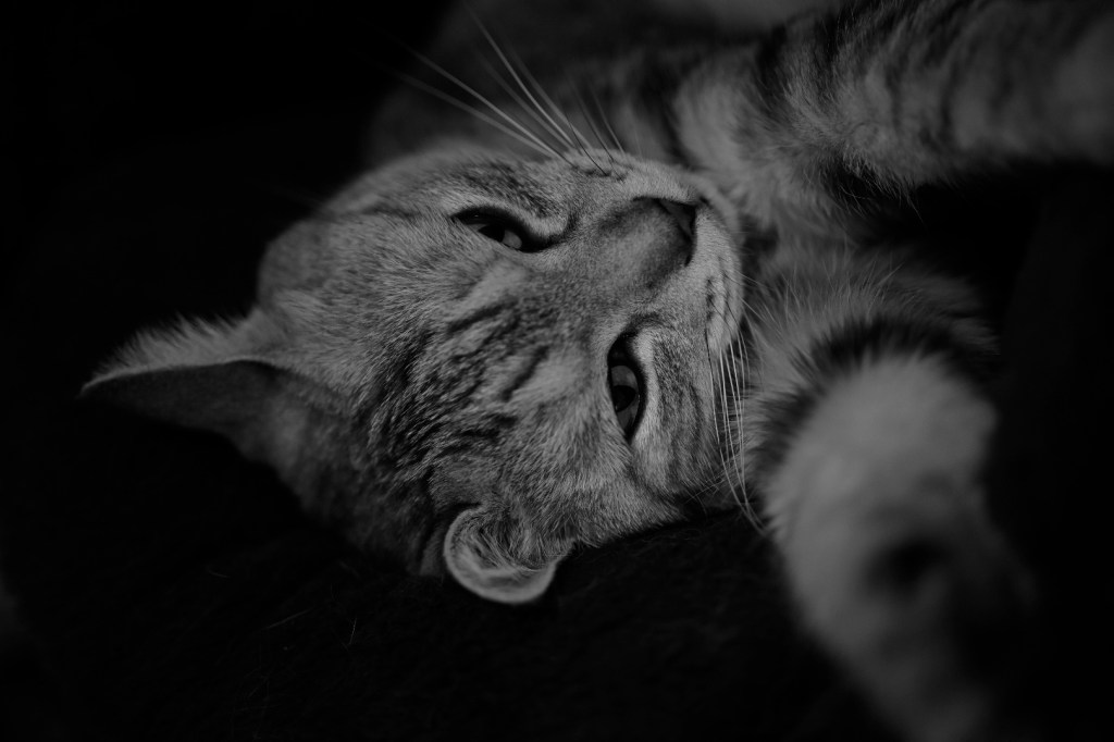 筋肉痛ぐらいしか悩みがない、20240522