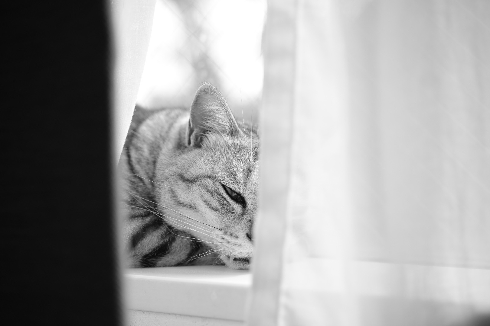 戸田球場の対西武戦、山野と清水のピッチングに痺れる、20240524