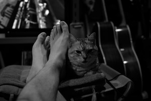 週末の完封負け、モナコGP決勝、20240526